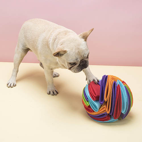 Dog Nose Work Toys IQ Treat Ball