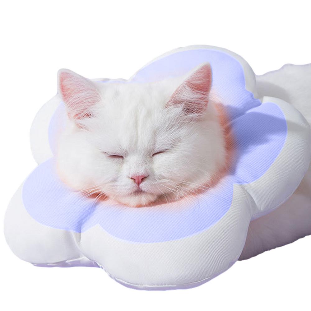 Cat Elizabethan collar 